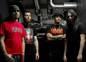 Kataplexia 2008